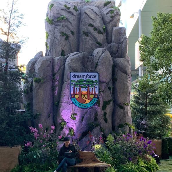 Rock with Dreamforce logo and person sitting in front of it on laptop